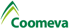 Logo-2